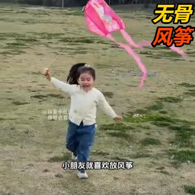 口袋风筝儿童版抖音同款卡通易飞初学者春游易飞新款热销爆款