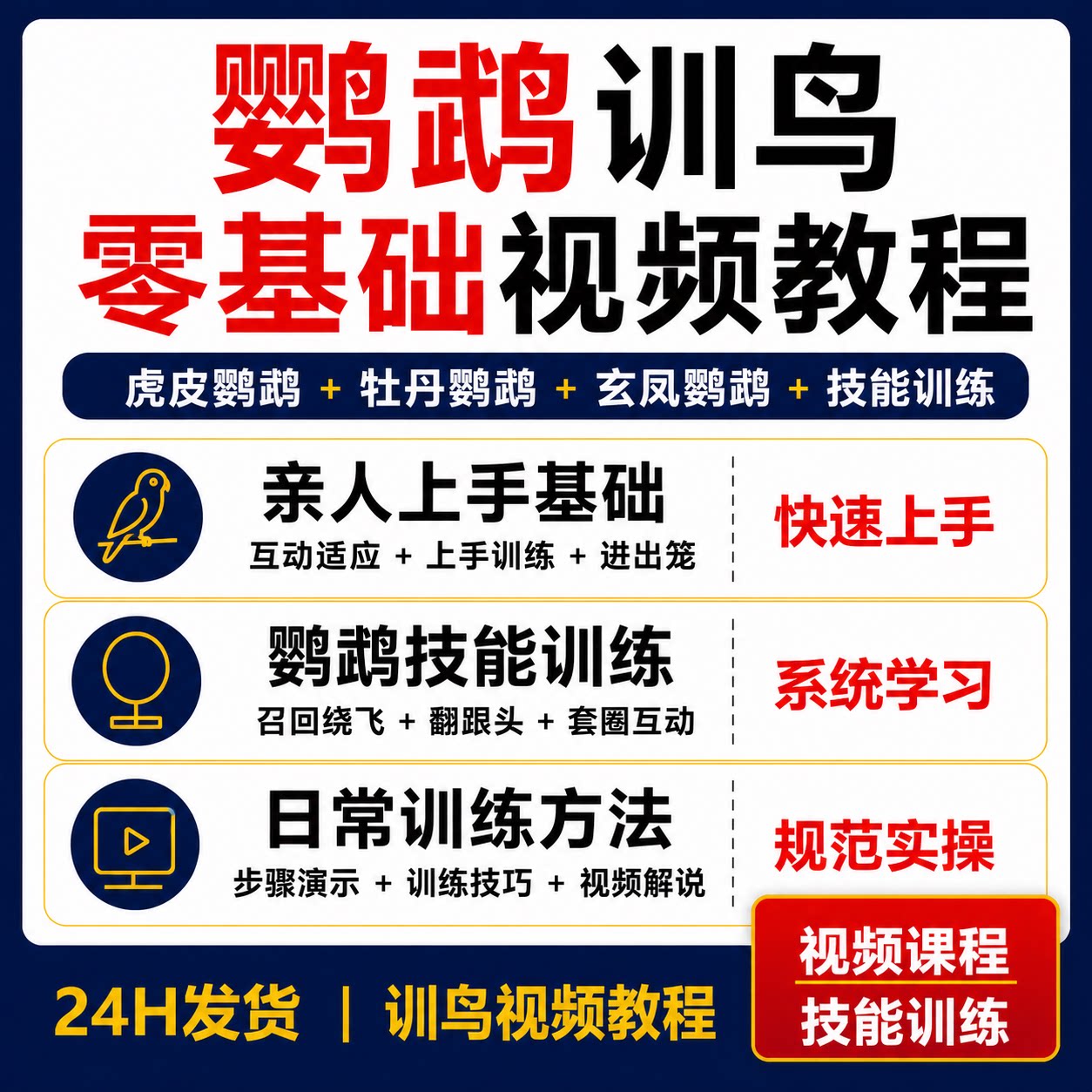 鹦鹉训鸟零基础教程虎皮牡丹玄凤亲人上手召回绕飞进出笼技能视频