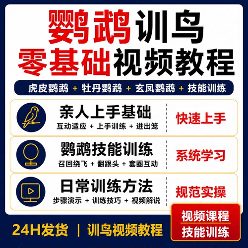 鹦鹉训鸟零基础教程虎皮牡丹玄凤亲人上手召回绕飞进出笼技能视频