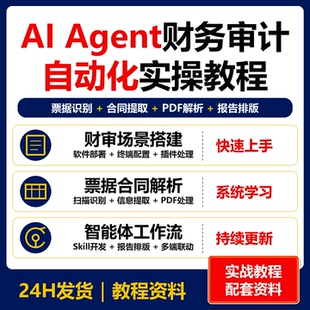 AI Agent财务审计自动化实操 OpenCode票据合同PDF处理资料