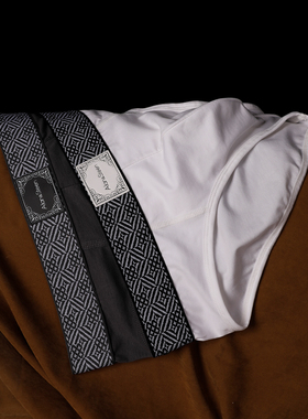 欧若风男士内裤莫代尔棉三角裤抗菌内裤运动舒适透气短裤新款