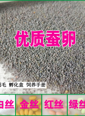 蚕卵春蚕宝宝学生蚕种籽软天然七彩色金丝蚕一整张批量包邮天然彩