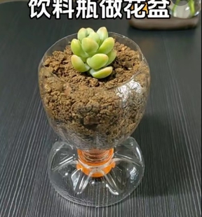 饮料瓶废物利用变废为宝花盆盆栽成品