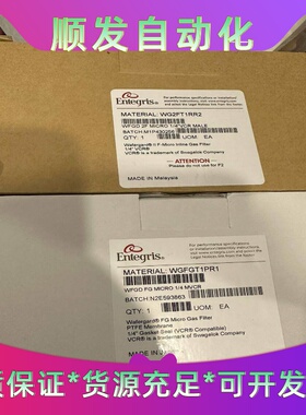真空过滤器ENTEGRIS英特格过滤器WG2FT1RR2现--议价商品