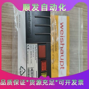 DK3 weishaupt检漏仪W 01S 置 议价商品 2检漏装