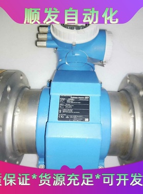 E+H 恩德斯豪斯 Promag300系列电磁流量计，5P3一议价商品