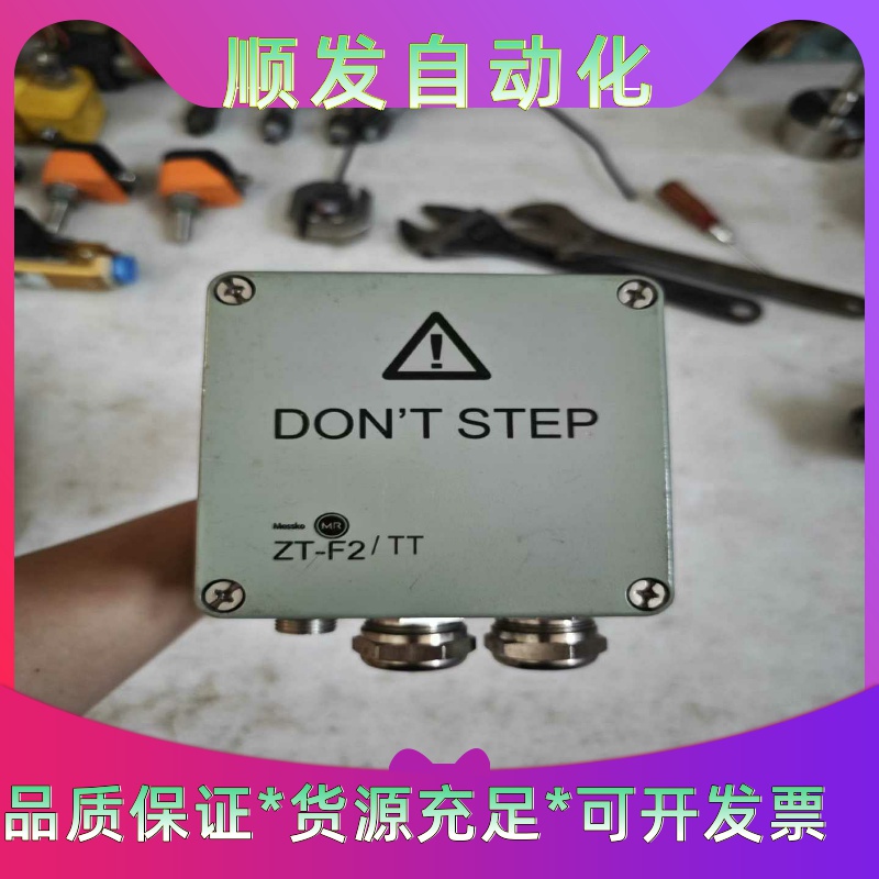 德国Messko复合传感器ZT-F2(1Pt100)--议价商品