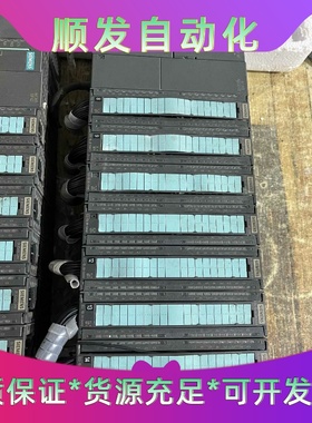 西门子PLC PS307  DC 24V  2个  1500一议价商品