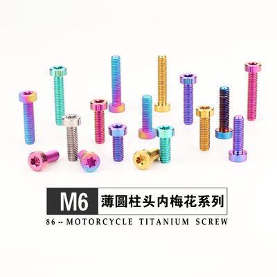 钛合金薄头扁头圆柱头螺丝 M6X15/20/25/35上泵前刹车盘固定螺钉