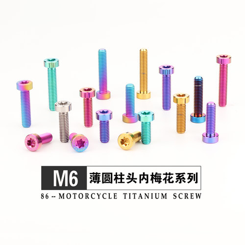 钛合金薄头扁头圆柱头螺丝 M6X15/20/25/35上泵前刹车盘固定螺钉