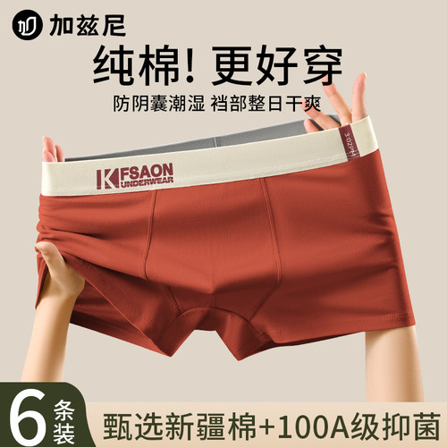 青少年内裤男生高中生发育期纯棉