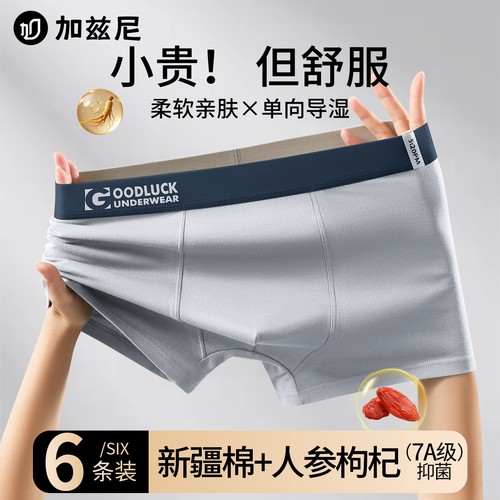加兹尼纯棉男士内裤2025新款