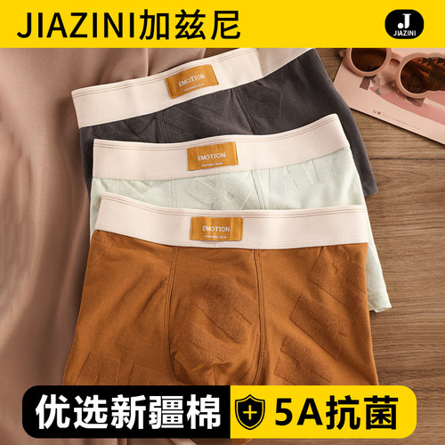 内裤男生纯棉抗菌裤衩短裤头