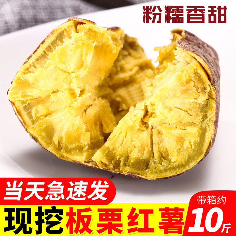 板栗红薯新鲜10斤现挖蜜薯糖心番薯黄心农家自种粉糯甜鸡蛋黄地瓜