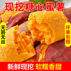 新鲜红薯超甜糖心蜜薯湛江西瓜红现挖沙地番薯农家自种软糯地瓜