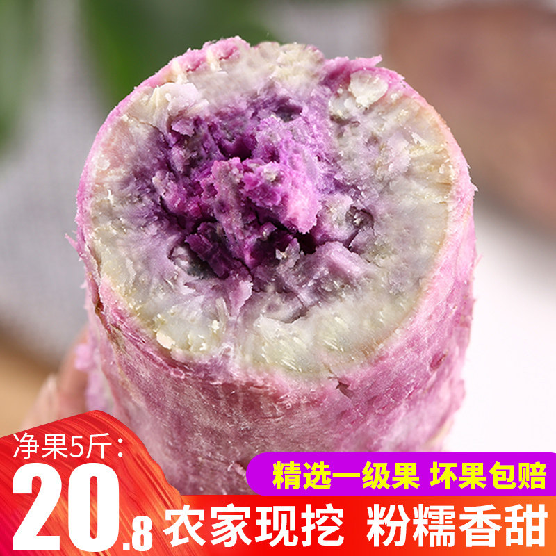 紫薯新鲜冰淇淋红薯一点红番薯现挖花心薯板栗番薯5斤地瓜粉糯香