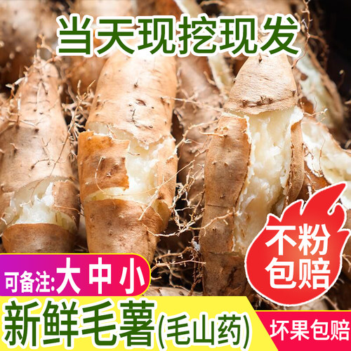 当季上新新鲜现挖毛薯毛山药