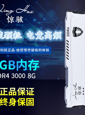 骇客8G 16G  32g 2400 2666 3200 DDR4 高频台式机游戏白色内存条