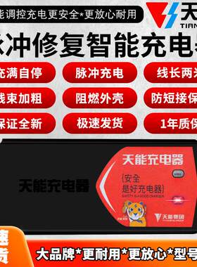 12AH通用三轮车48V电瓶充电器