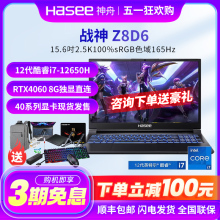 Hasee/神舟 战神 Z8D6/战神S8D6/T8 Plus E94/RTX4070独显笔记本