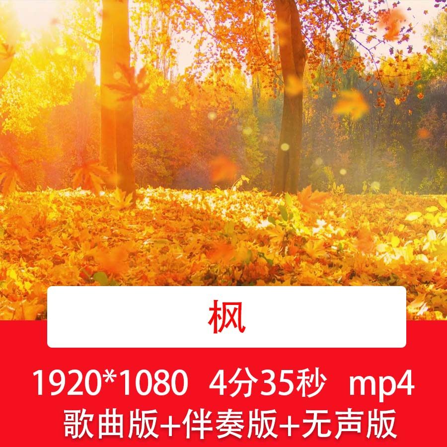 周杰伦《枫》唯美秋天落叶枫叶飘落金风景歌伴舞舞台LED背景视频,商务/设计服务,设计素材/源文件,淘宝优惠券,粉丝福利购,淘宝优惠卷