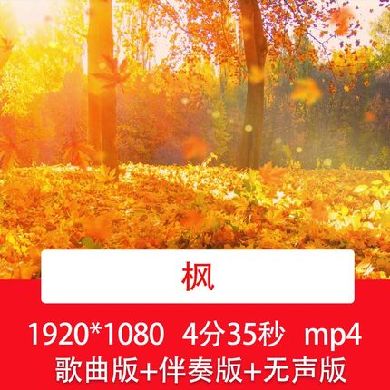 周杰伦《枫》唯美秋天落叶枫叶飘落金风景歌伴舞舞台LED背景视频