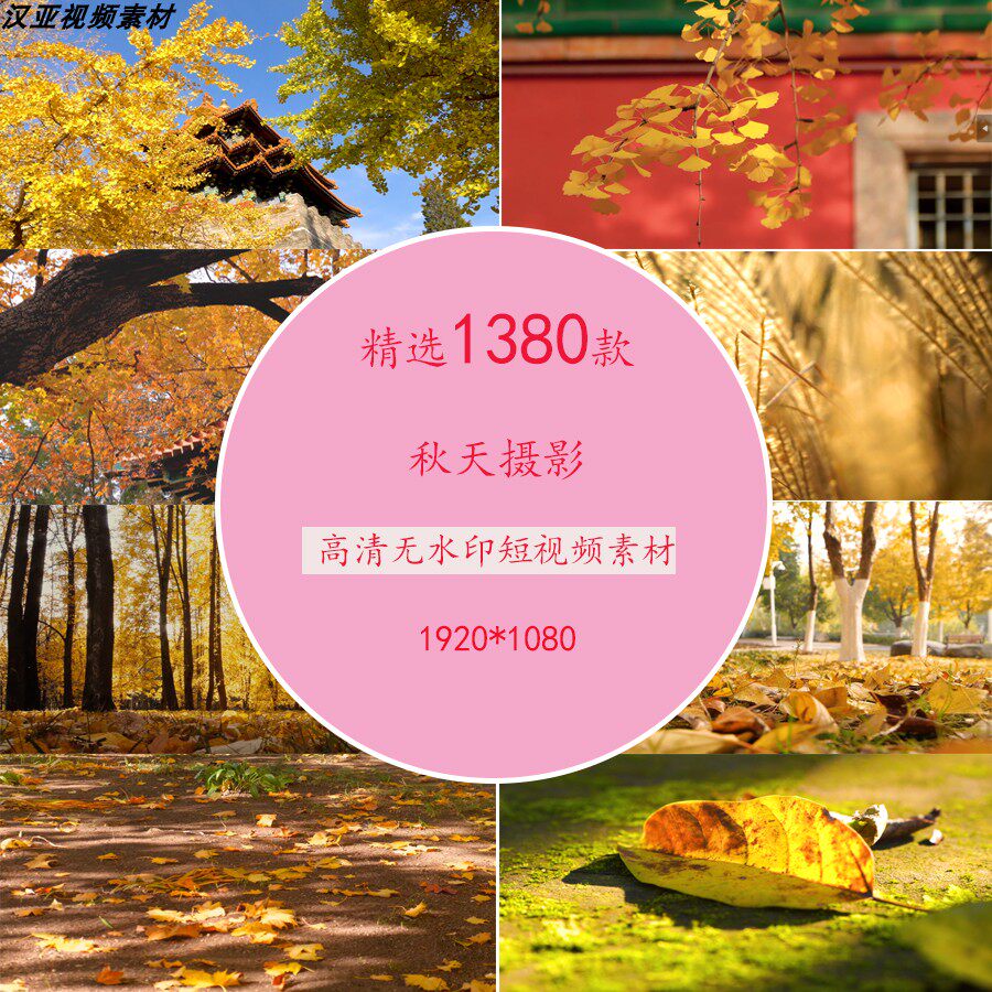 秋天风景摄影秋天落叶秋天慢镜头摄影秋天自然风景摄影视频素材