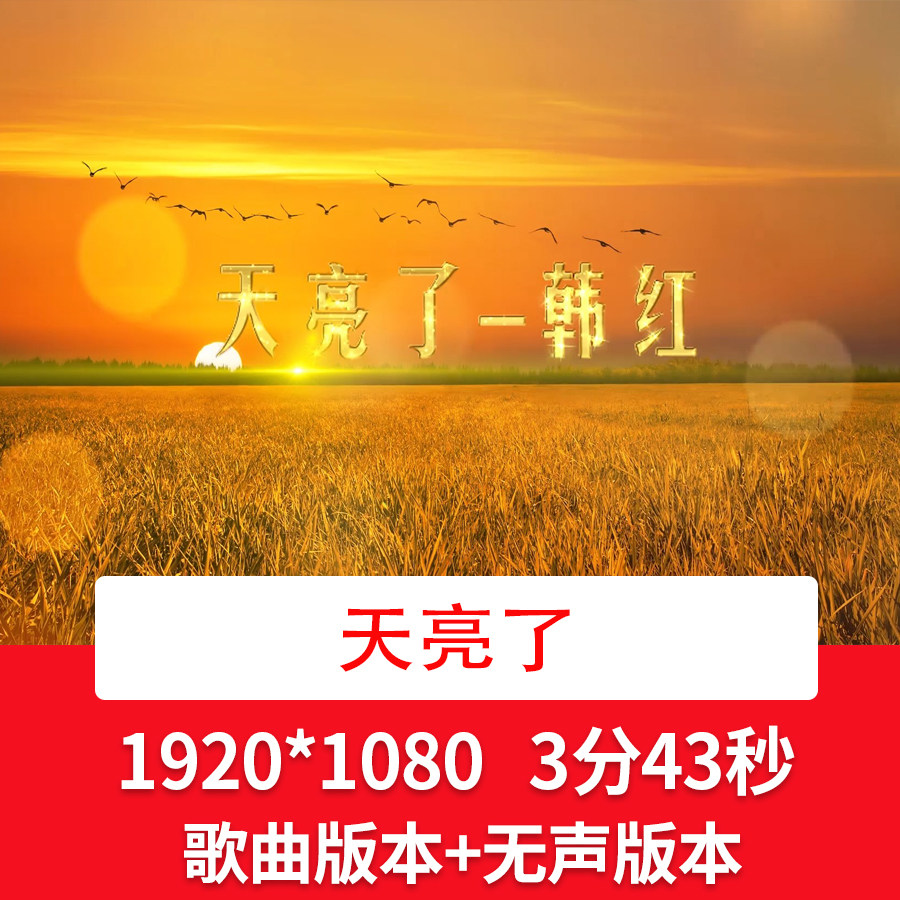 韩红《天亮了》感恩父母恩情歌曲视频背景感恩节舞台LED背景视频