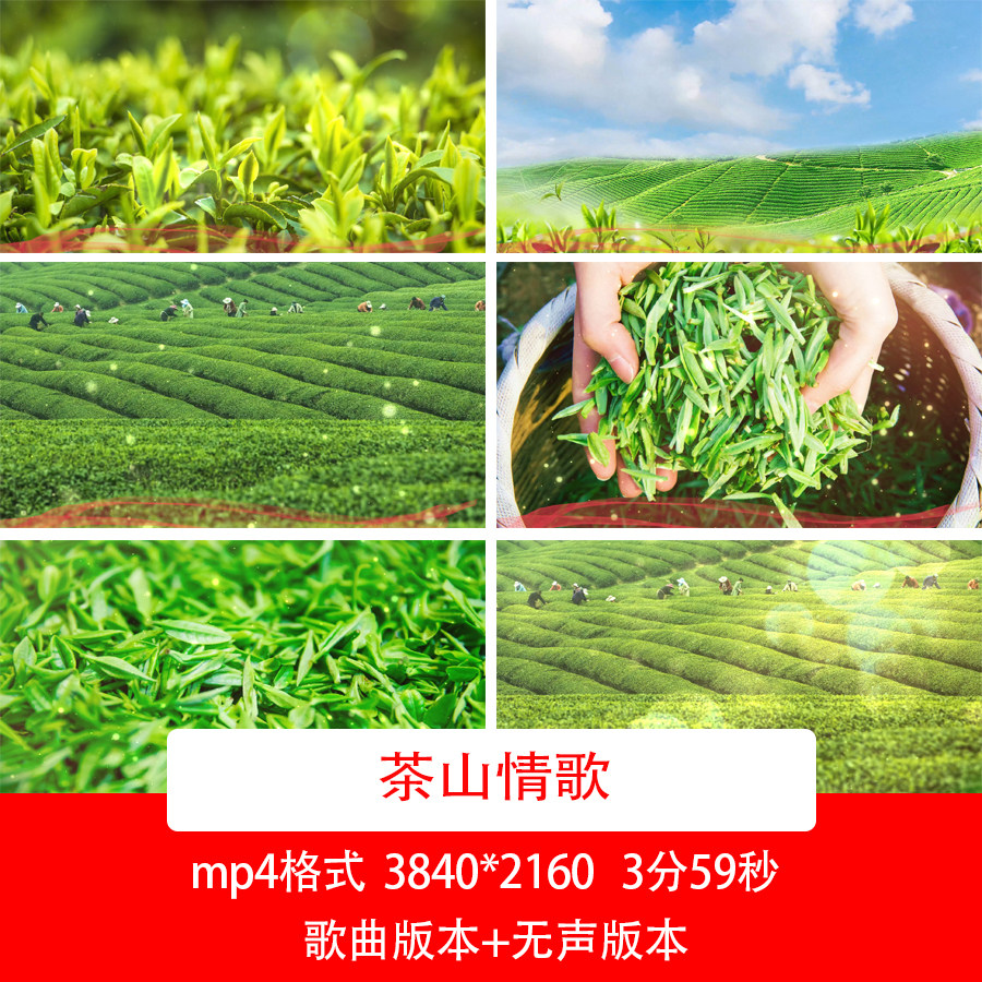茶山情歌采茶舞曲歌曲背景采茶茶园音乐舞台晚会演出led背景视频