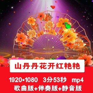 王二妮《山丹丹花开红艳艳》歌曲伴奏视频晚会舞台LED背景视频