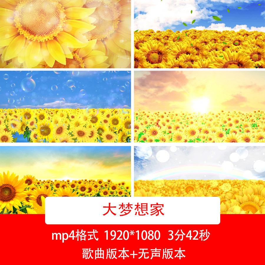 向日葵花海视频六一儿童节卡通视频背景大梦想家歌曲配乐背景视频