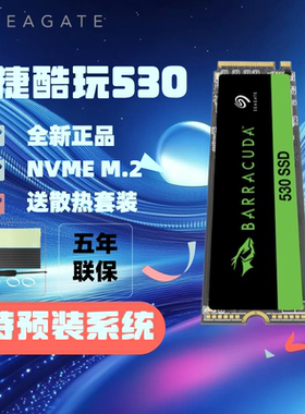 希捷酷鱼520 530 2T固态硬盘pcie4硬盘1t电脑笔记本TLC颗粒