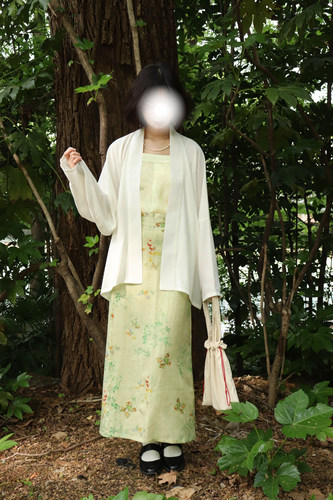 裳裳者画蝶飞机袖短衫日常汉服
