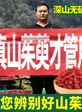 山茱萸深山500g正品山茱萸肉去核五味子山茱萸代茶饮喝