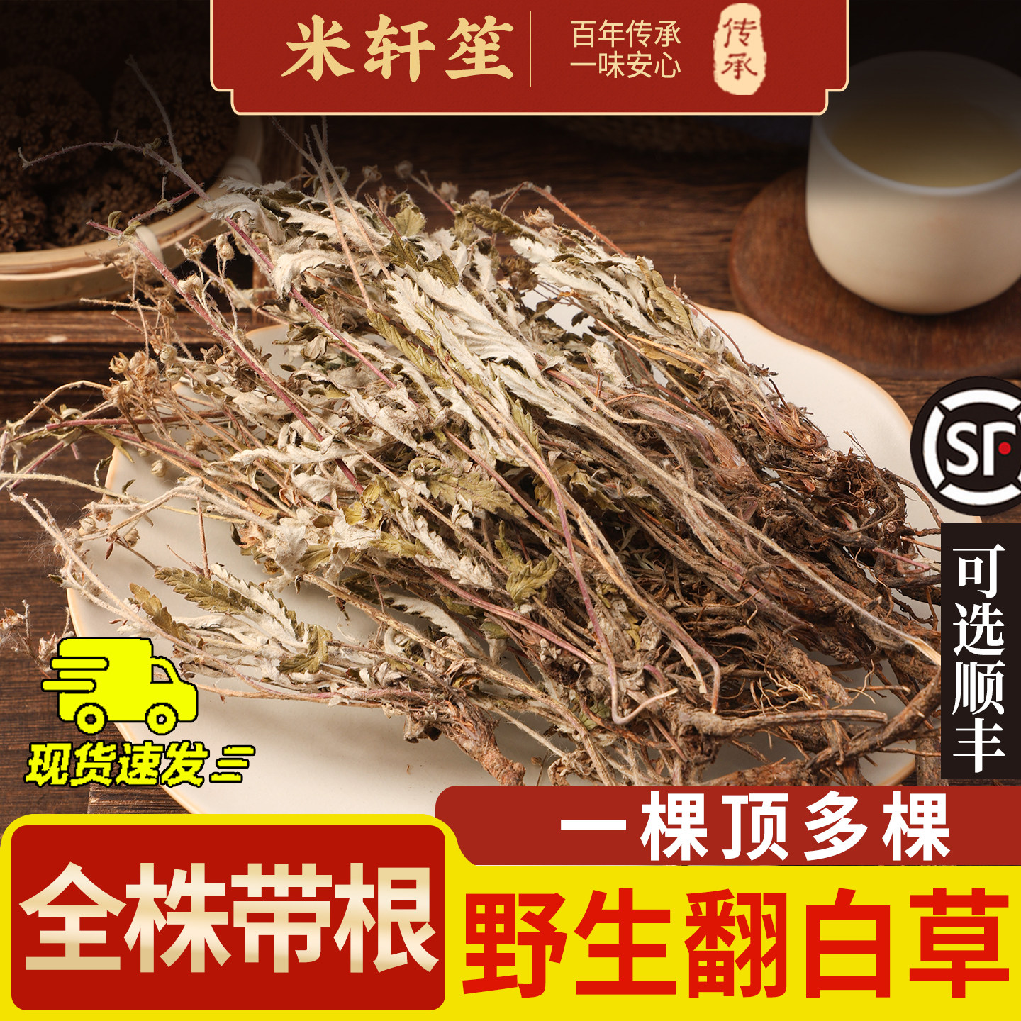 翻白草中药材500/250克/100g野生粗根整棵新货翻白草番白草