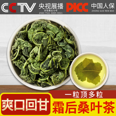 桑叶中药材霜降秋后桑叶中药材桑树叶新货桑葚新鲜干嫩霜打桑叶