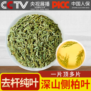 野生侧柏叶500g侧柏叶洗发包侧柏叶粉另售何首乌皂角无患子