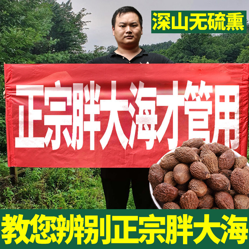 胖大海100g泡水喝可搭金银花菊花中药材正品干果