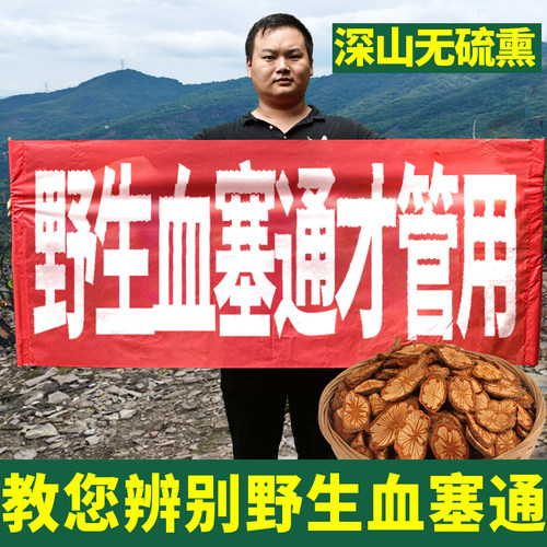云南血塞通中药材500g无硫熏