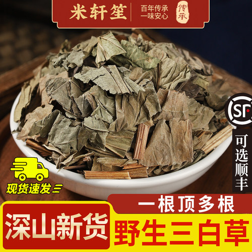 野生三白草中药材500克/250g三白草全草草药塘边藕百节白花三白草