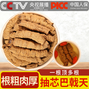 德庆巴戟天中药材正品官方旗舰店杜搭肉苁蓉仲泡酒水男士泡水泡酒