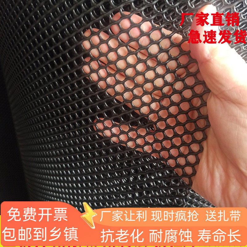黑加厚塑料小孔育雏网床漏粪鸡鸭鹅鱼塘隔离网片防鸟宠物防护围栏