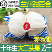 甘肃兰州百合新鲜百合二头皇1000g 兰州鲜百合特级农家食用甜百合