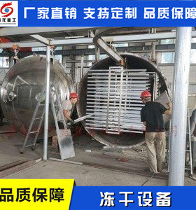 冻干鸡肉的生产设备冻干芒果加工设备玫瑰花冻干设备