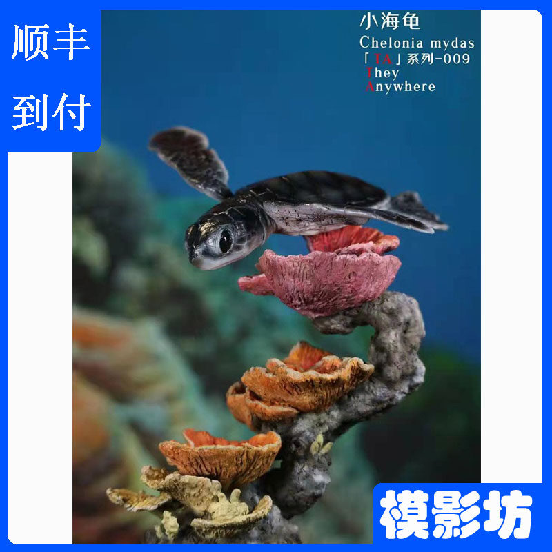 涅槃模型绿海龟限量手办TA系列第009弹GK雕像珊瑚地台 山雨原型师