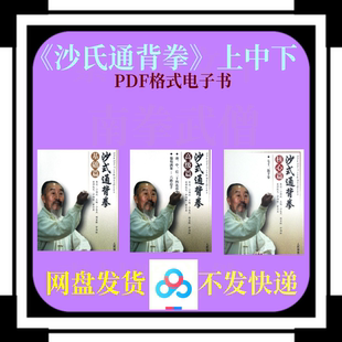 武术素材 沙氏通背拳 上中下三册 武术内家拳通背拳通臂拳站桩
