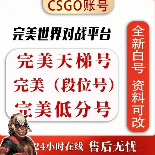 cs2完美低分高分新手老兵段位号