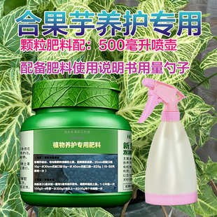 合果芋专用肥料盆栽种球花肥营养液旺长生根展叶茂盛长新叶面肥料
