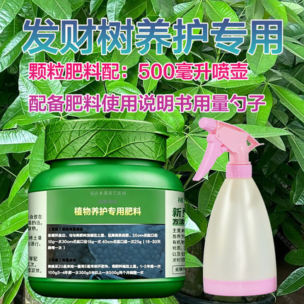 发财树专用肥料改善黄叶掉叶焦尖枯萎斑病卷曲下垂盆栽营养液肥料