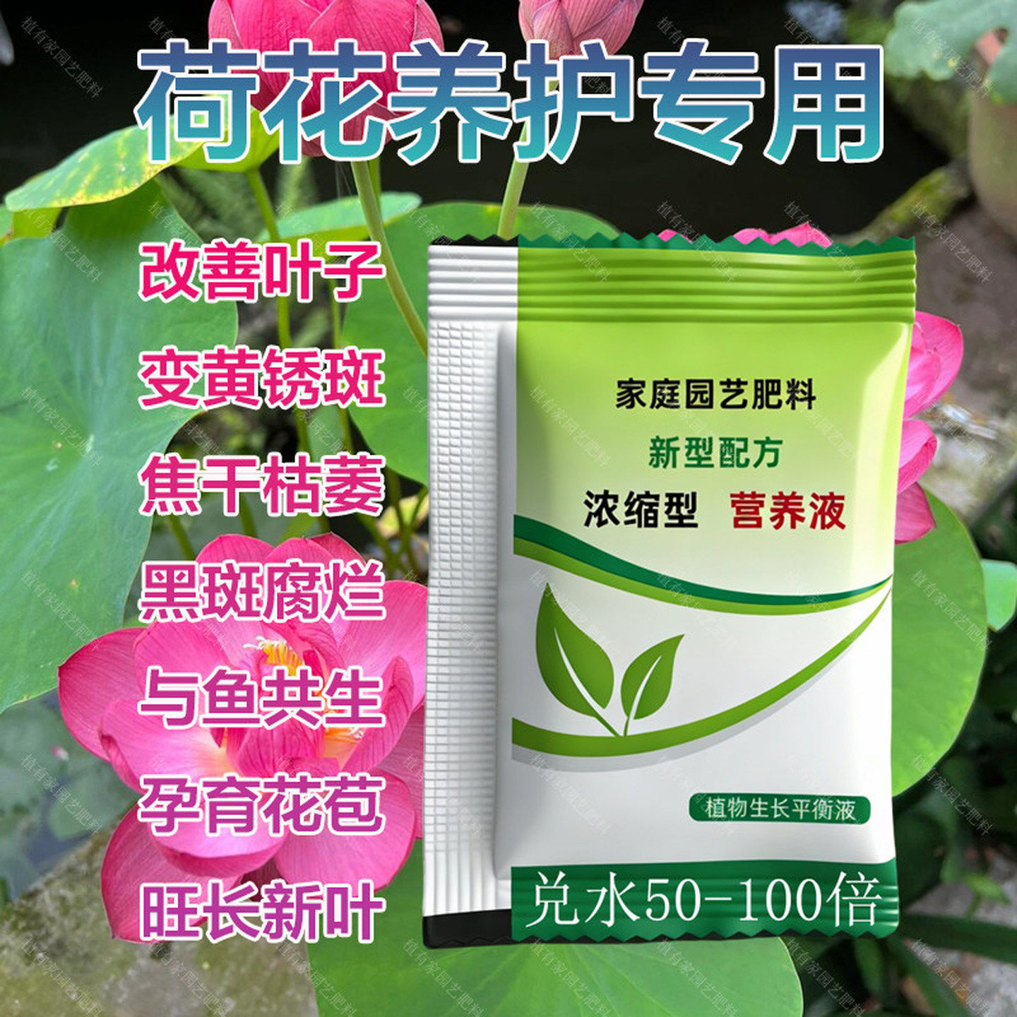 荷花专用肥莲花睡莲碗莲水养肥料无机肥